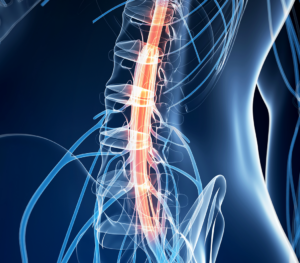 Pain in the spinal cord stock photo