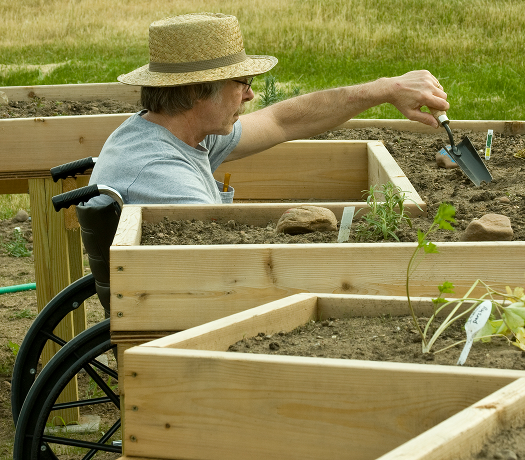 Man in a wheelchair tending a garden in an enabling bed