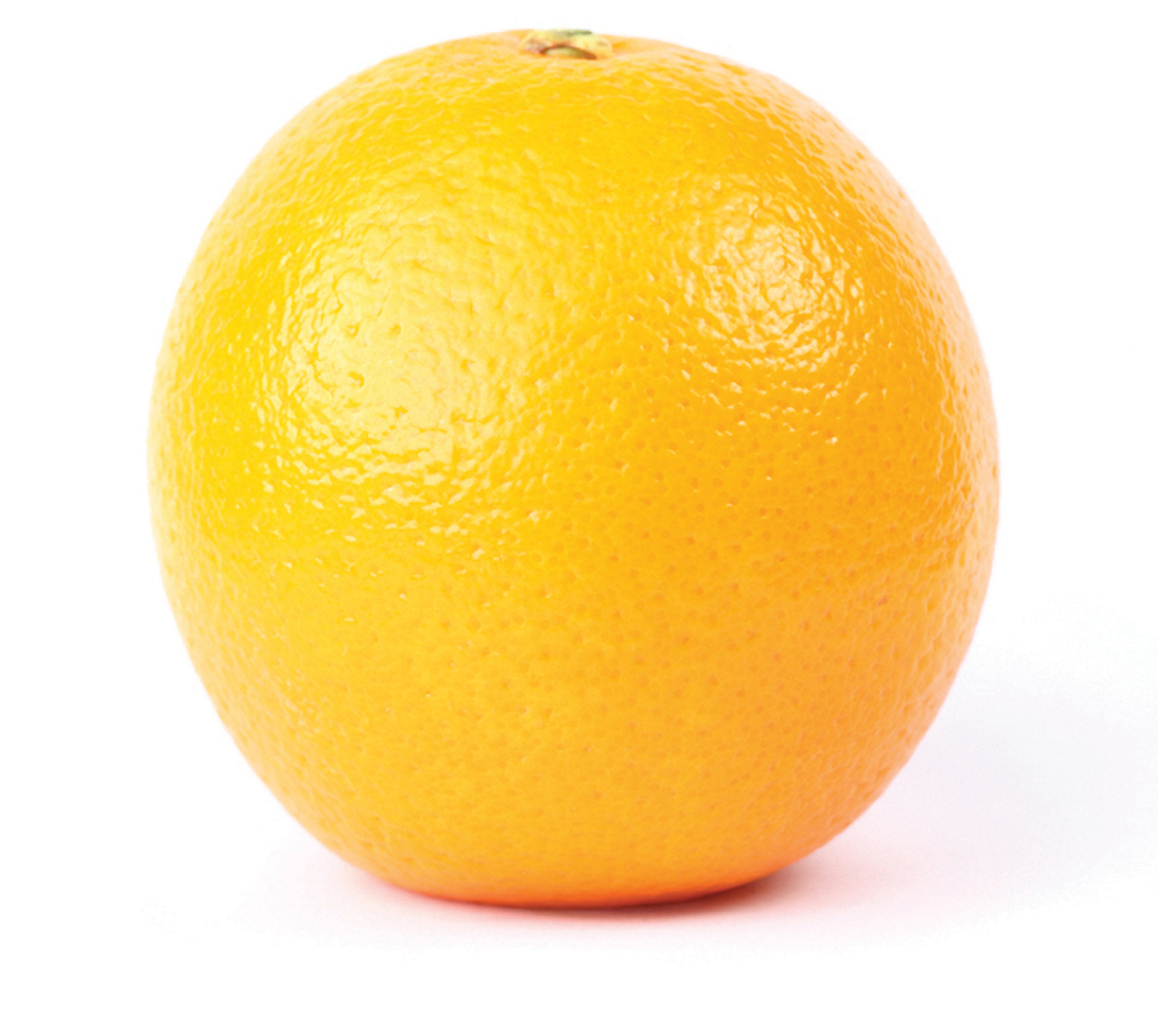Picture of the fruit Orange