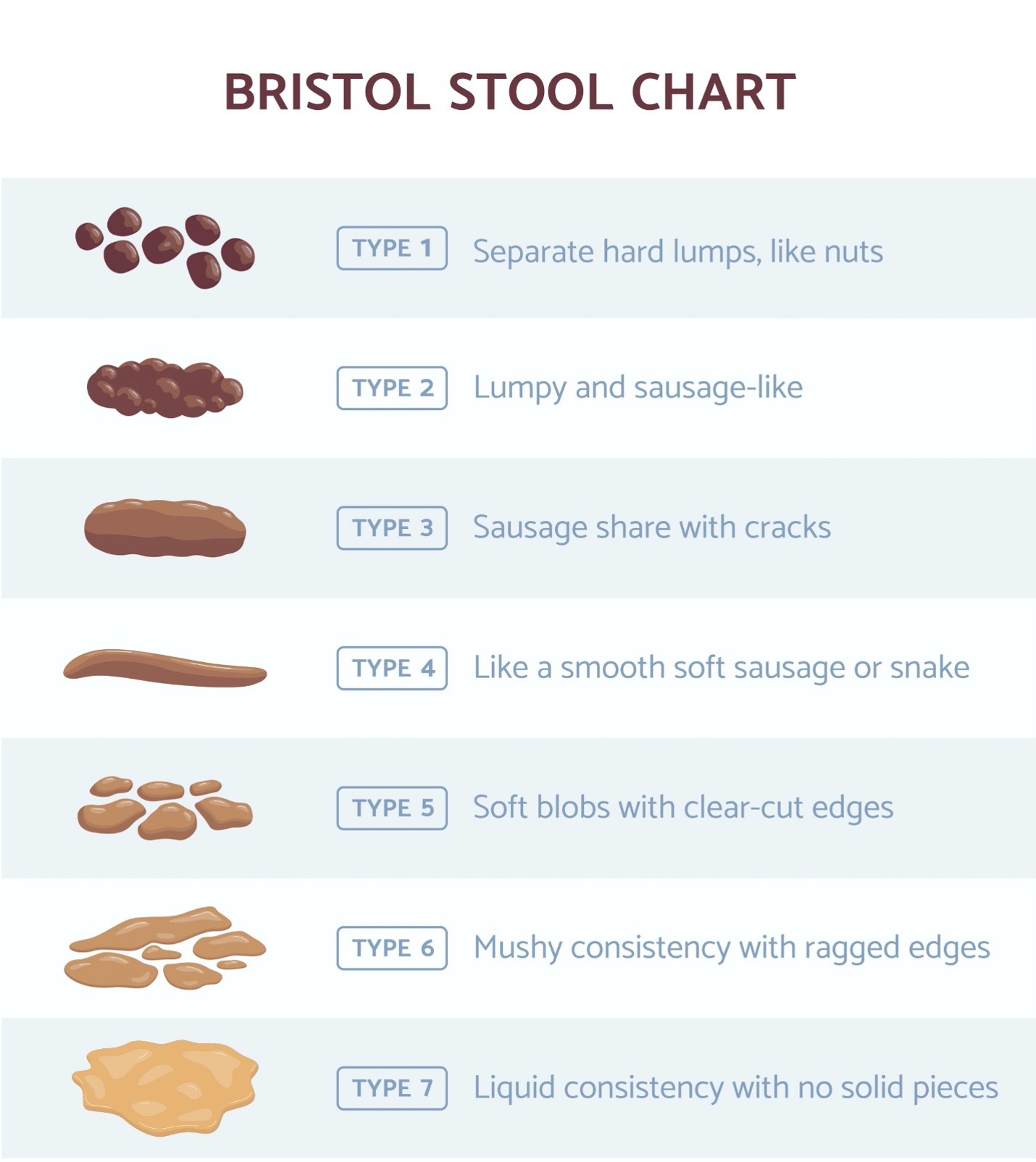 Bristol Stool Chart