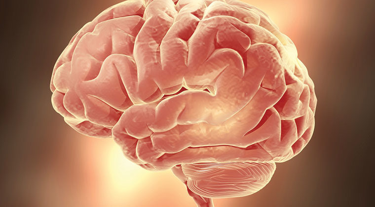 Lésions cérébrales - Christopher & Dana Reeve Foundation