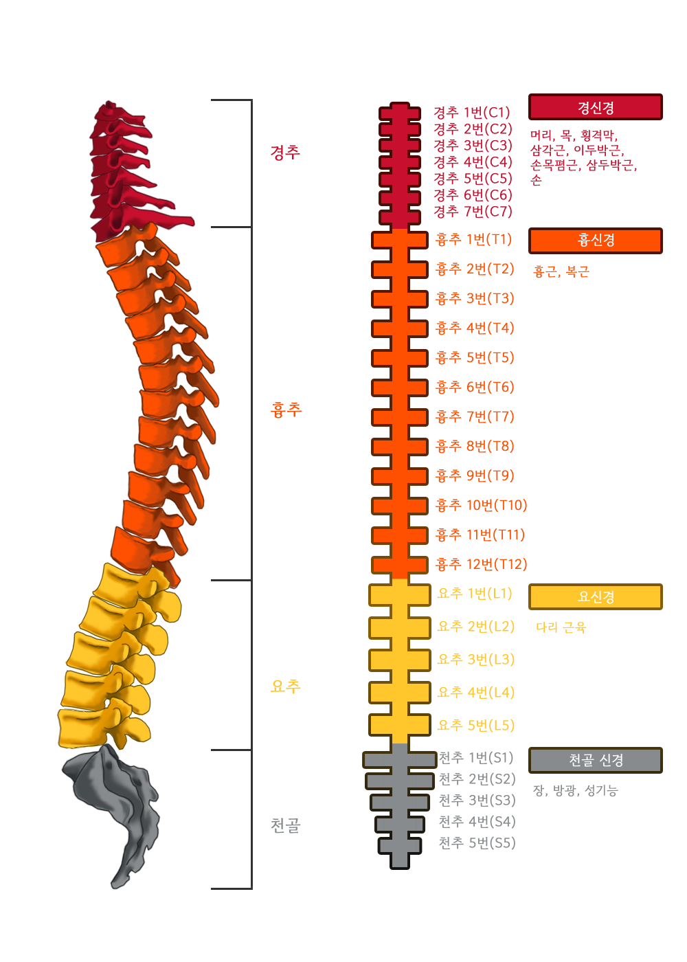 PubSpot – your destination for book publishing knowledge., image size:1000x1400