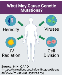 What may cause genetic mutations illustration