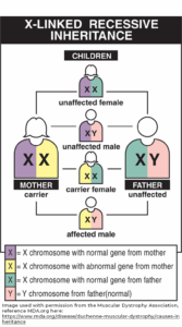 A genetic counselor is usually seen if there is a concern about inherited diseases. These healthcare professionals will create a genetic history of both parents and families and provide information about the risks of your child inheriting a genetic condition.